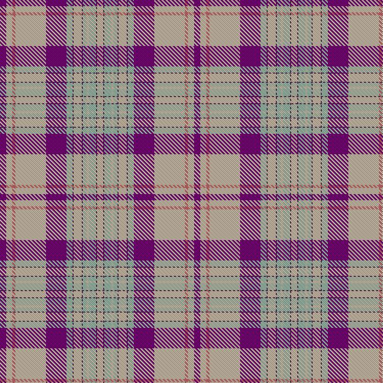 Tartan image: Barra Fuschia. Click on this image to see a more detailed version.