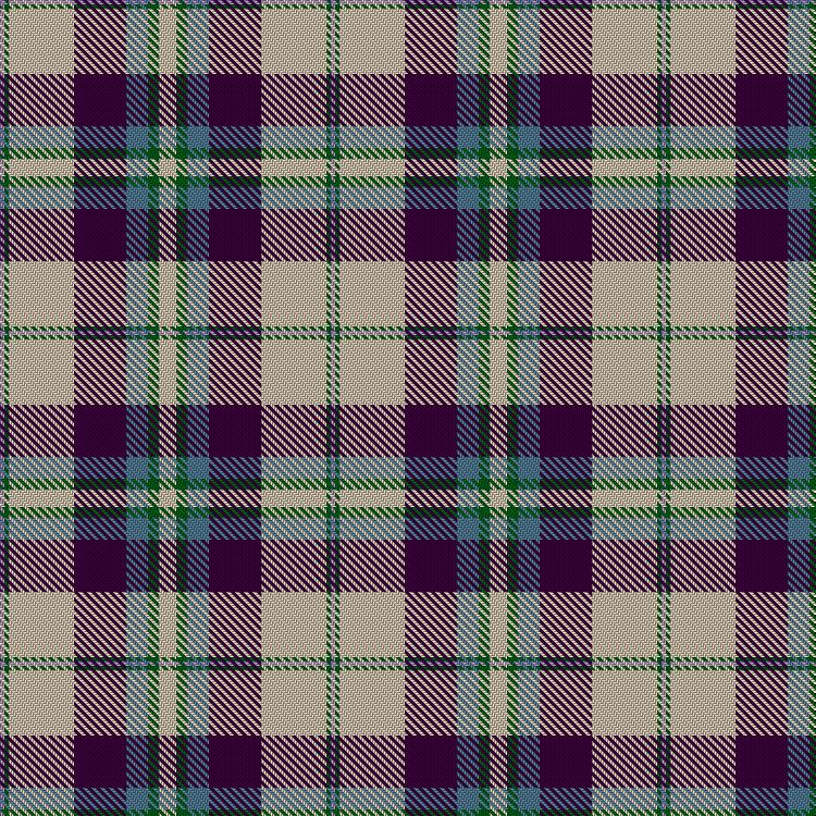 Tartan image: Shiel Purple. Click on this image to see a more detailed version.