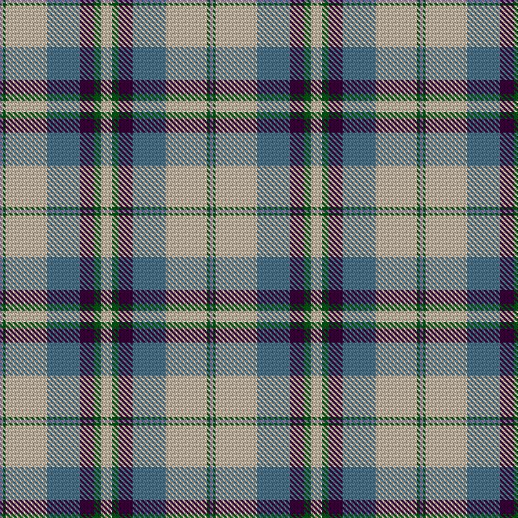 Tartan image: Shiel Purple V2. Click on this image to see a more detailed version.