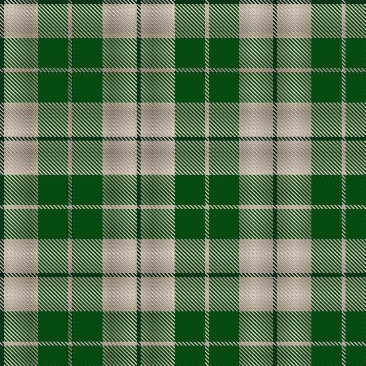Tartan image: Lewis Green. Click on this image to see a more detailed version.