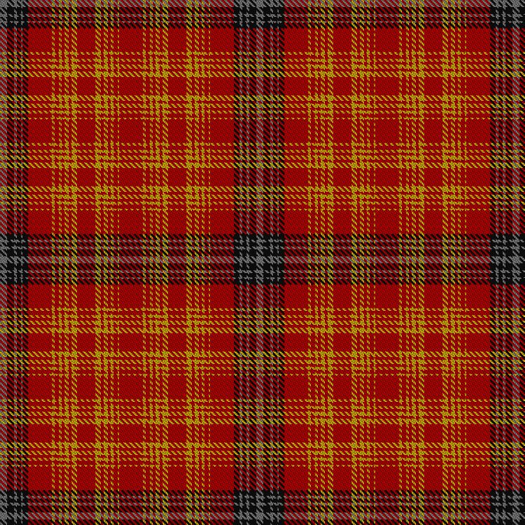 Tartan image: Starrett Company, L.S.. Click on this image to see a more detailed version.