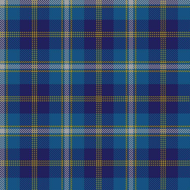 Tartan image: Halesowen. Click on this image to see a more detailed version.