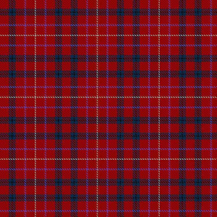 Tartan image: Goodwillie. Click on this image to see a more detailed version.