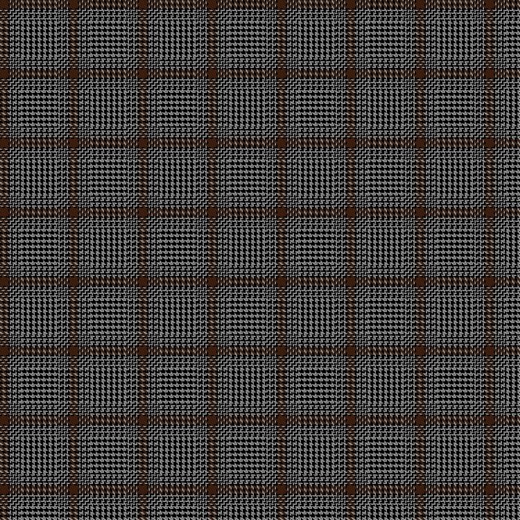 Tartan image: Carnegie Check. Click on this image to see a more detailed version.