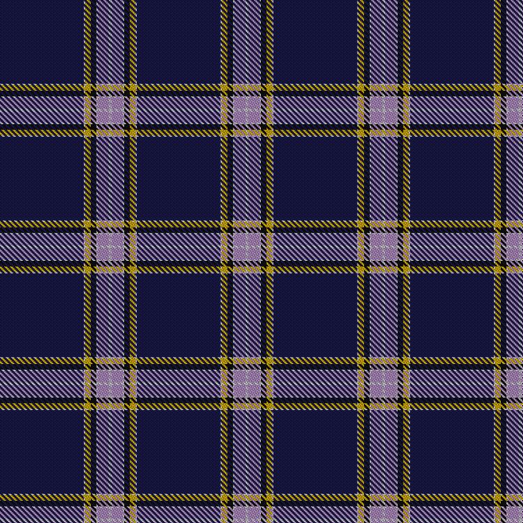Tartan image: Nunavut Territory. Click on this image to see a more detailed version.