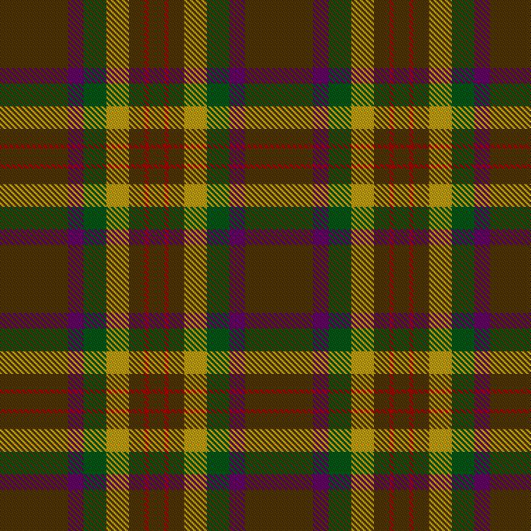 Tartan image: Shannon. Click on this image to see a more detailed version.