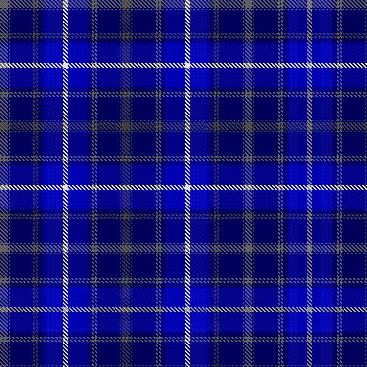 Tartan image: South Carolina. Click on this image to see a more detailed version.
