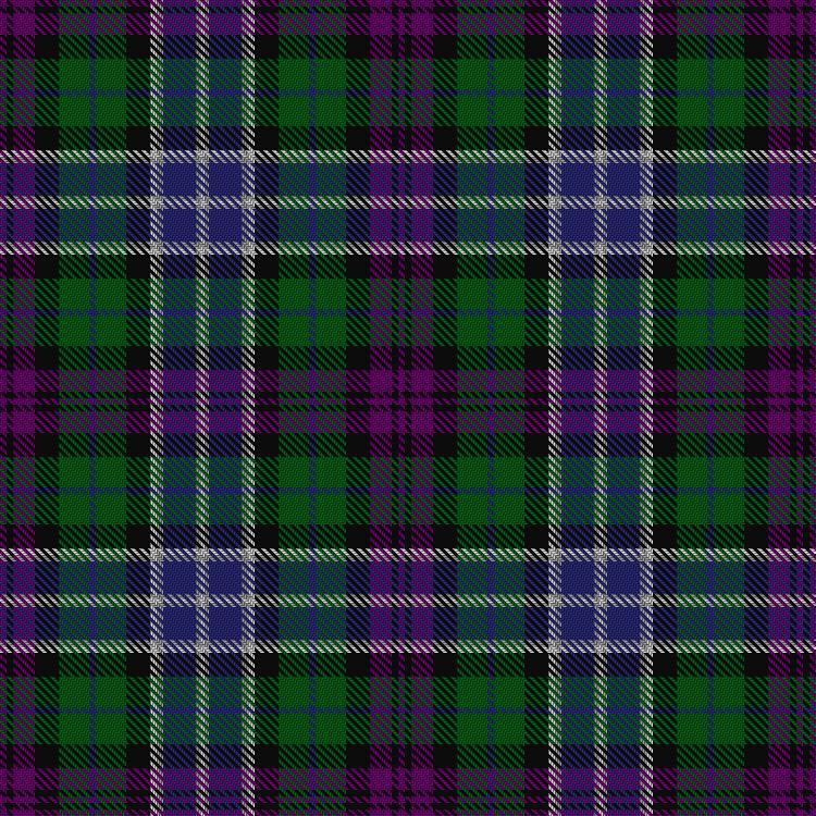Tartan image: North of Scotland Tartan Army. Click on this image to see a more detailed version.