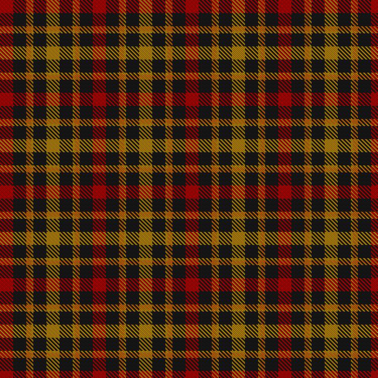 Tartan image: Torana. Click on this image to see a more detailed version.
