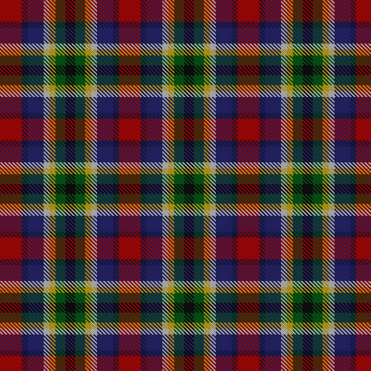 Tartan image: Nicolson of Taransay Hunting (Personal). Click on this image to see a more detailed version.