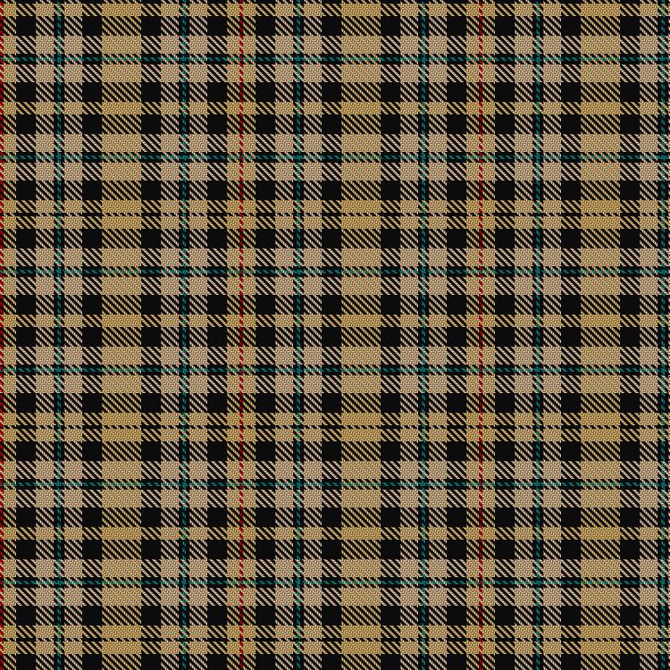 Tartan image: Project, Faith Inc. Click on this image to see a more detailed version.