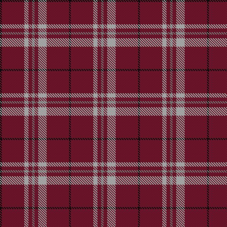 Tartan image: Cornell #2. Click on this image to see a more detailed version.