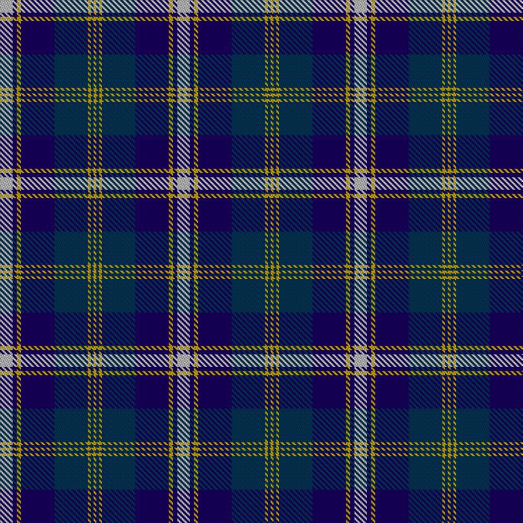 Tartan image: Halesowen #2. Click on this image to see a more detailed version.