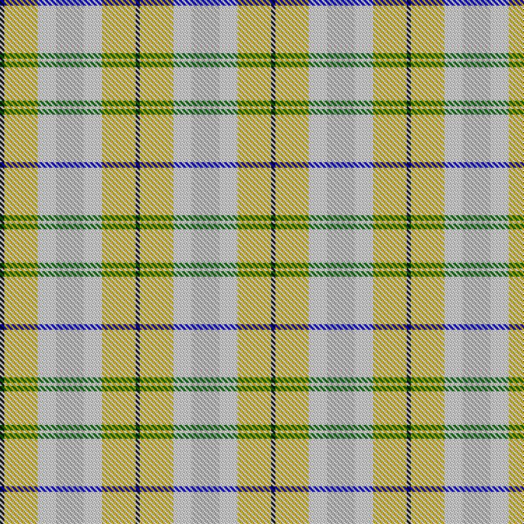 Tartan image: Spirit of Riverside. Click on this image to see a more detailed version.