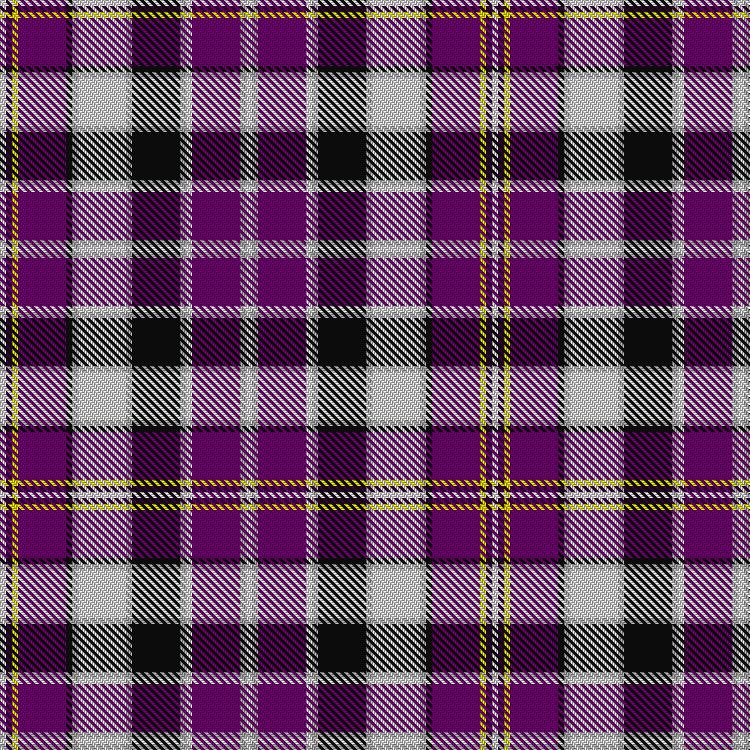 Tartan image: Praetorian Imperator. Click on this image to see a more detailed version.