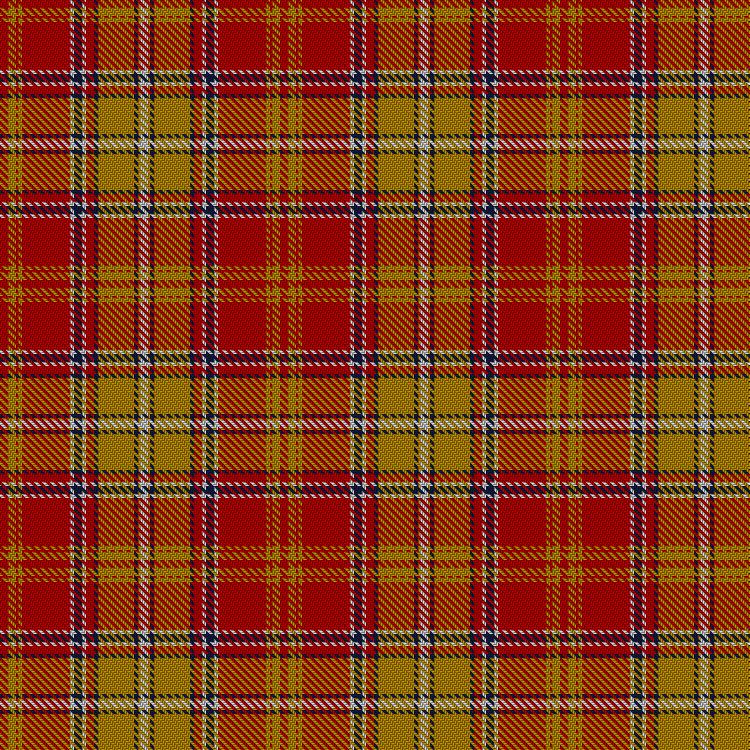 Tartan image: San Francisco. Click on this image to see a more detailed version.