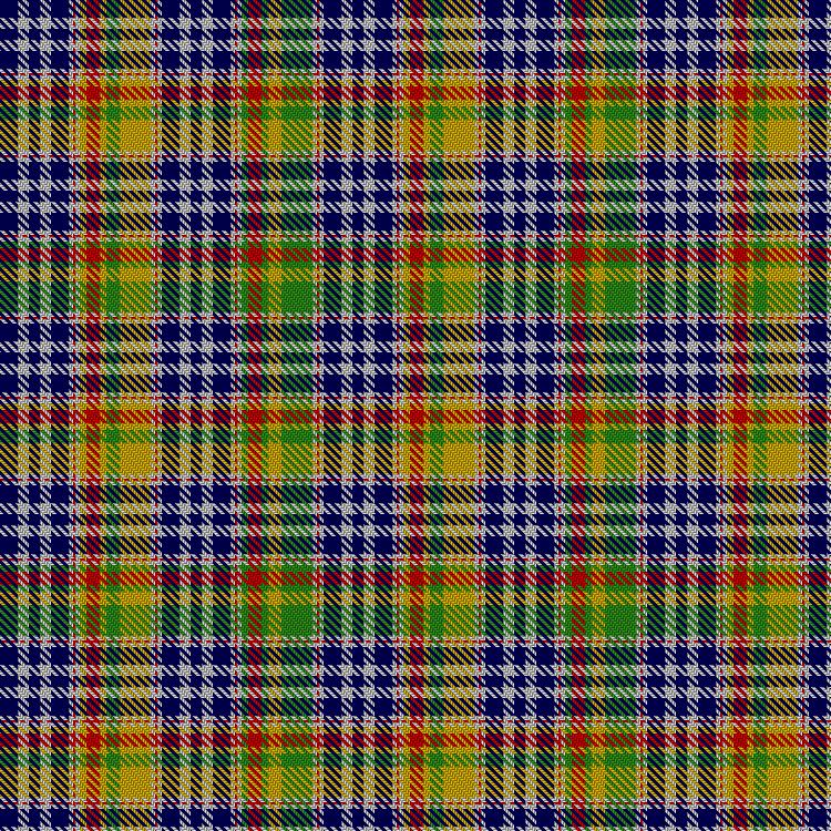 Tartan image: New Elgin Primary School. Click on this image to see a more detailed version.