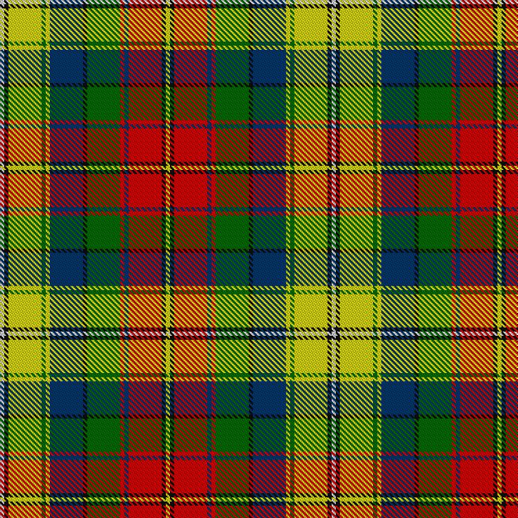 Tartan image: Robieson Playfield. Click on this image to see a more detailed version.