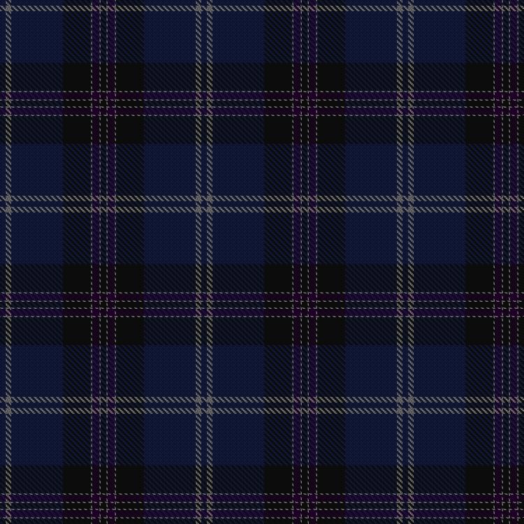 Tartan image: Finnie (Personal). Click on this image to see a more detailed version.