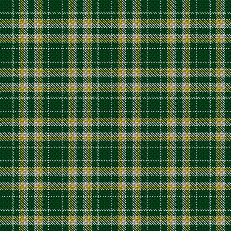 Tartan image: Heritage #2. Click on this image to see a more detailed version.