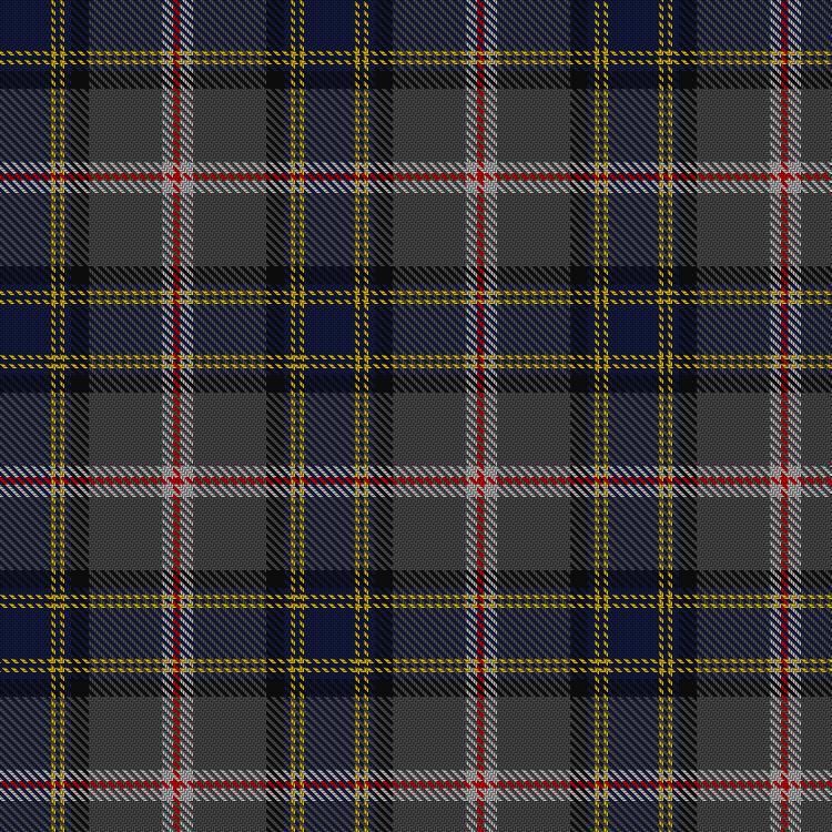 Tartan image: Scottish Association for Neurological Sciences. Click on this image to see a more detailed version.