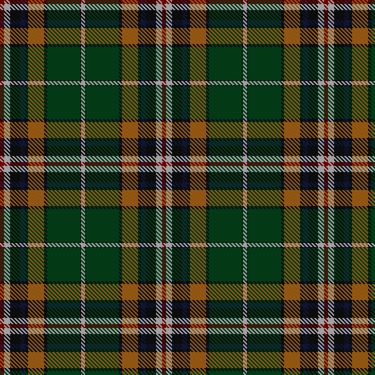 Tartan image: Fermanagh County, Crest Range. Click on this image to see a more detailed version.