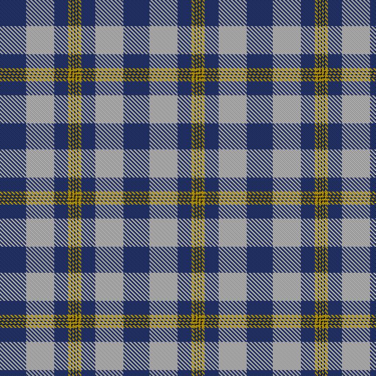 Tartan image: Gothenburg/Goteborg. Click on this image to see a more detailed version.