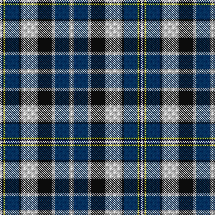 Tartan image: Praetorian Blue. Click on this image to see a more detailed version.