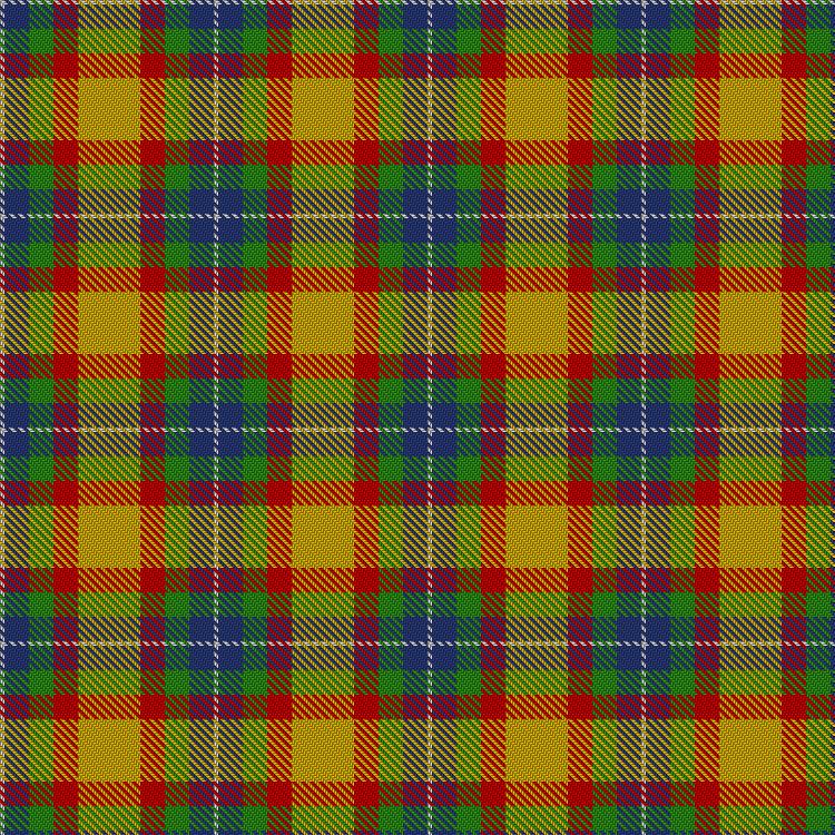 Tartan image: Samye #2. Click on this image to see a more detailed version.
