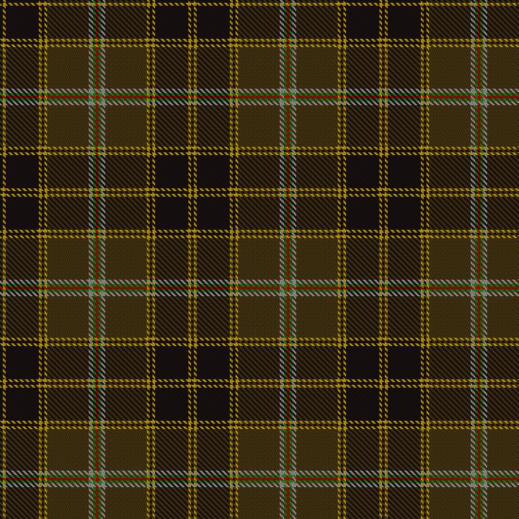 Tartan image: Spotsylvania County, Sherrif's Office of. Click on this image to see a more detailed version.