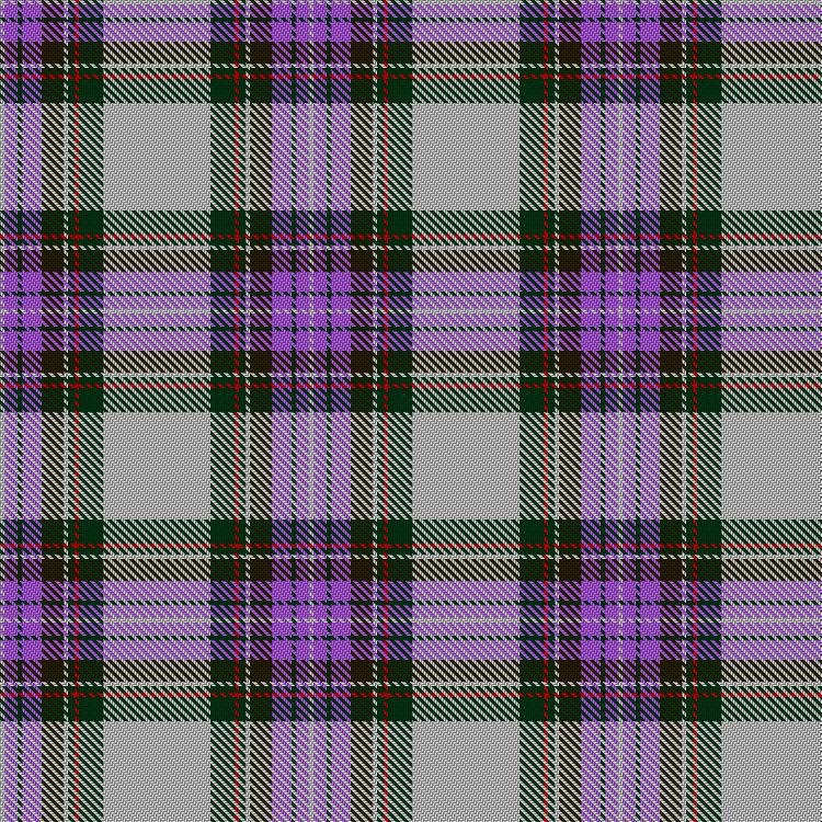 Tartan image: Strathyre dress. Click on this image to see a more detailed version.