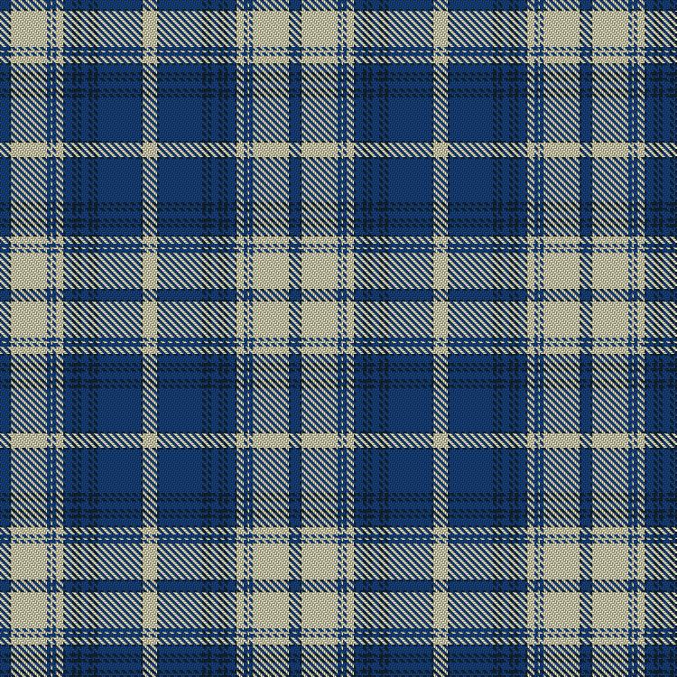 Tartan image: Finnish. Click on this image to see a more detailed version.