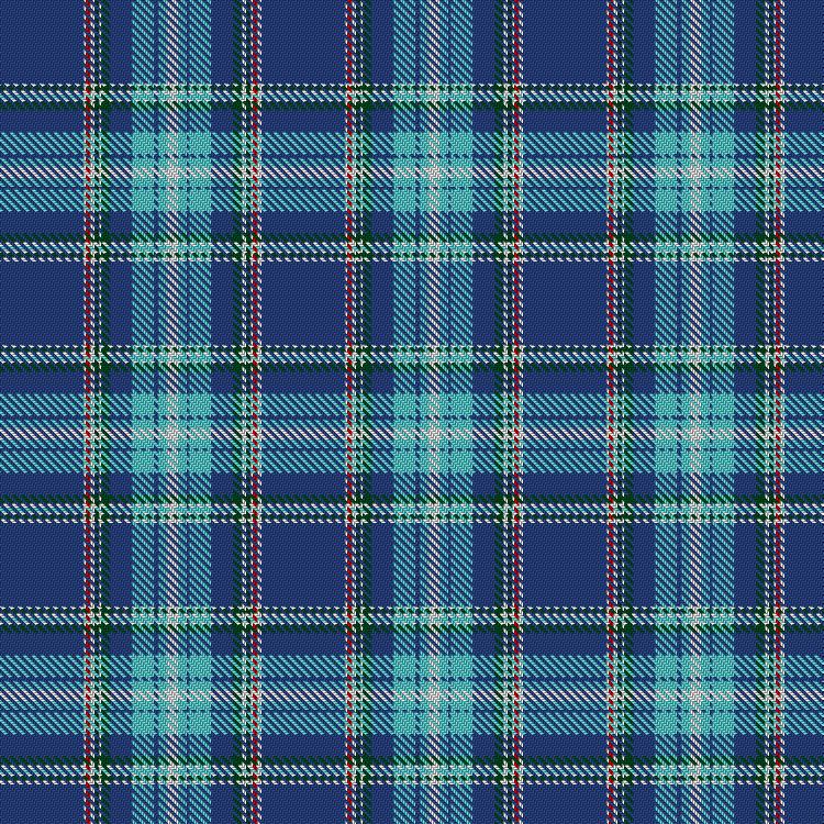 Tartan image: Summerwood. Click on this image to see a more detailed version.