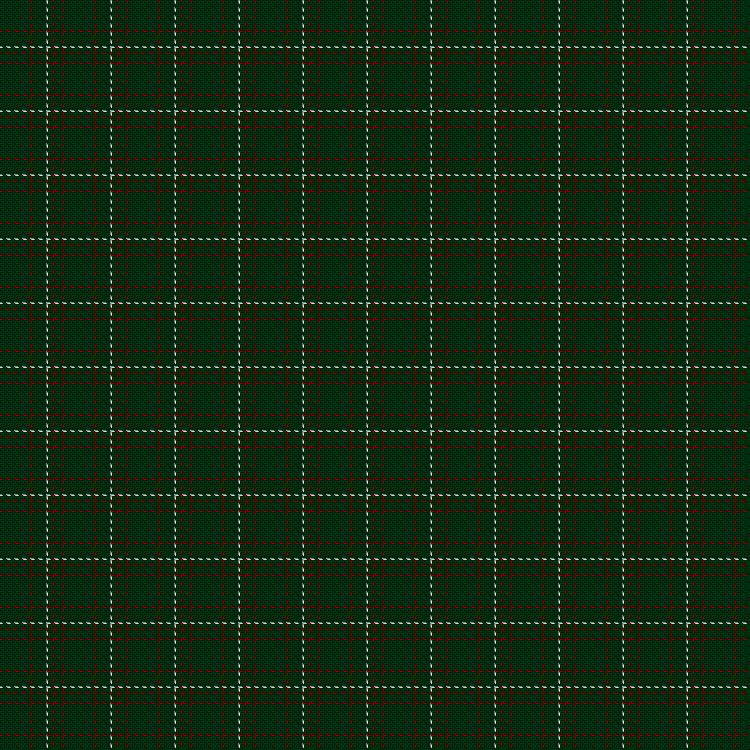 Tartan image: Dewi Sant. Click on this image to see a more detailed version.