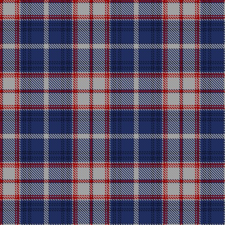 Tartan image: Florida. Click on this image to see a more detailed version.