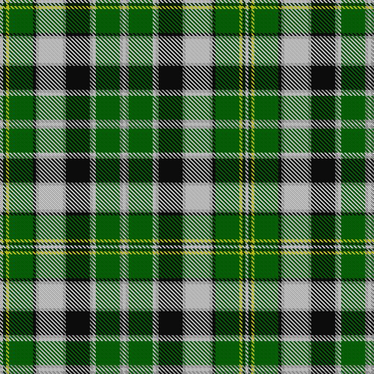 Tartan image: Praetorian Green. Click on this image to see a more detailed version.