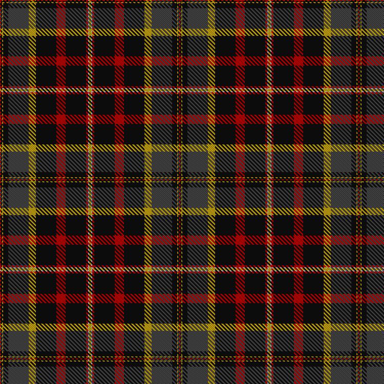 Tartan image: Cates Dress. Click on this image to see a more detailed version.
