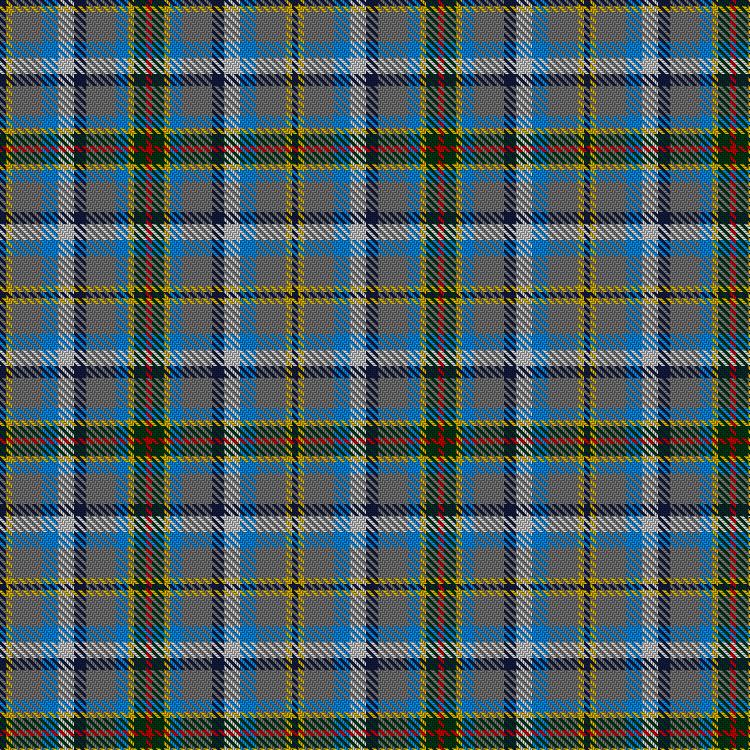 Tartan image: Saltcoats (Saskatchewan). Click on this image to see a more detailed version.