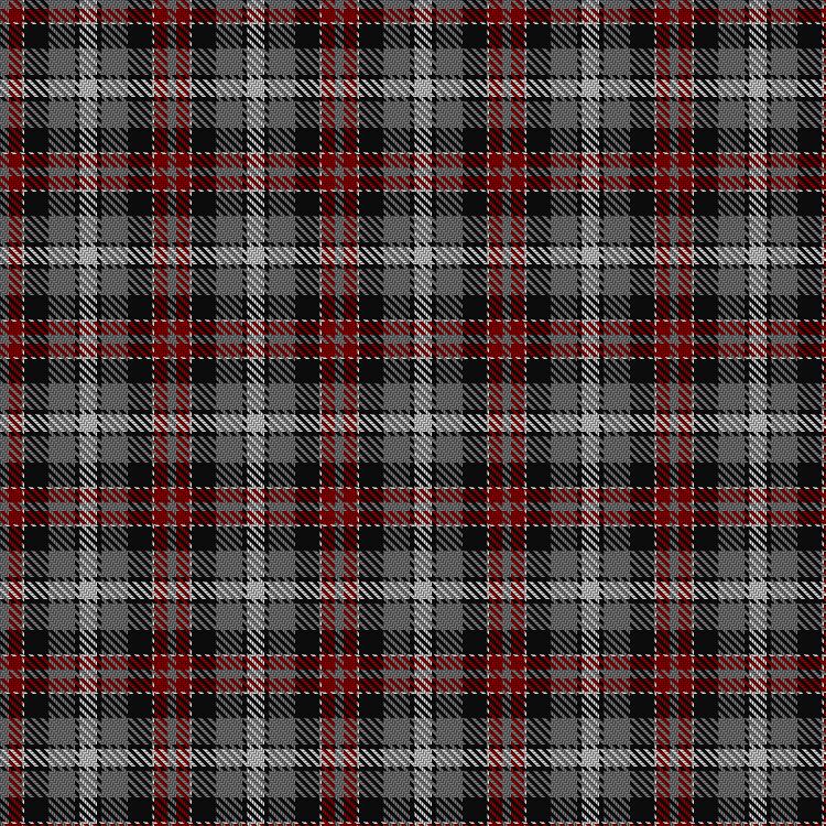 Tartan image: Unidentified. Click on this image to see a more detailed version.