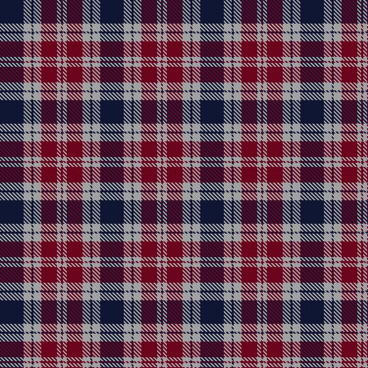 Tartan image: Sunderland. Click on this image to see a more detailed version.