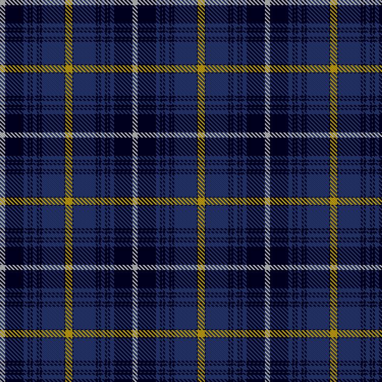 Tartan image: Swedish. Click on this image to see a more detailed version.