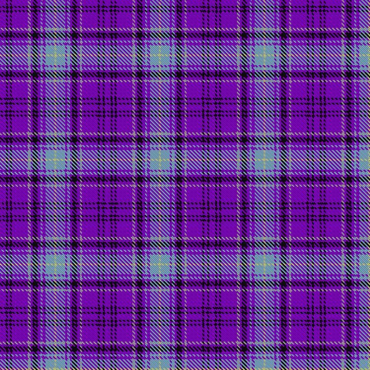 Tartan image: Life Goes on Foundation. Click on this image to see a more detailed version.