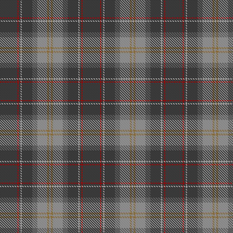 Tartan image: Guszcza, The (Personal). Click on this image to see a more detailed version.