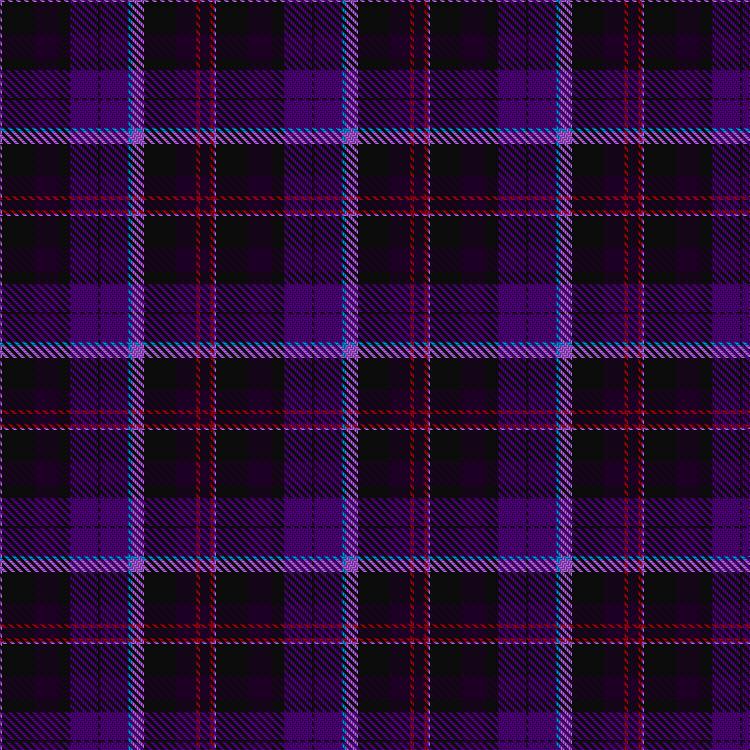 Tartan image: Katie Targett-Adams. Click on this image to see a more detailed version.