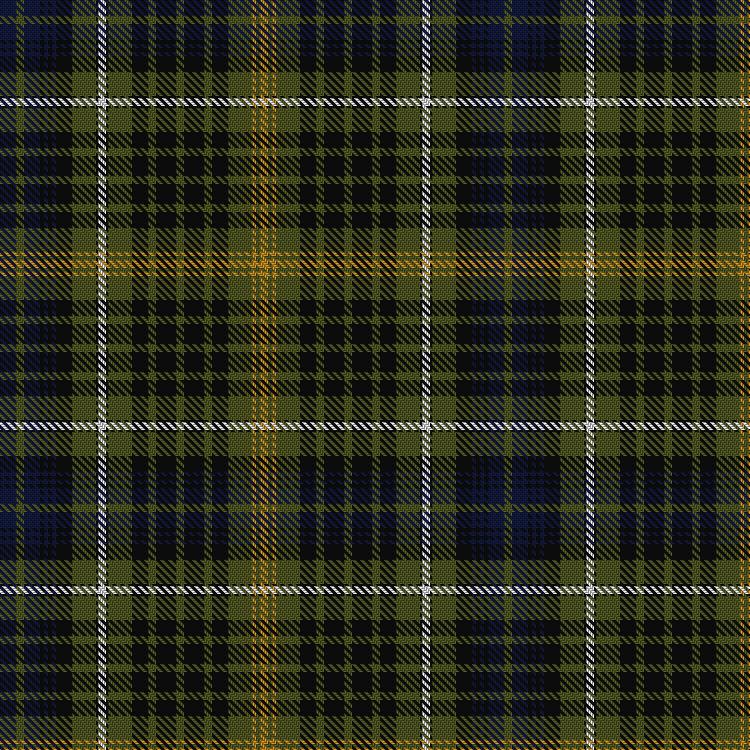 Tartan image: Fyvie. Click on this image to see a more detailed version.