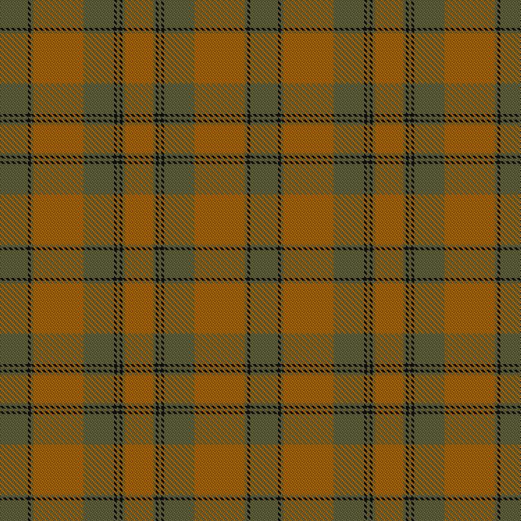 Tartan image: Donachie of Brockloch Ancient Hunting. Click on this image to see a more detailed version.