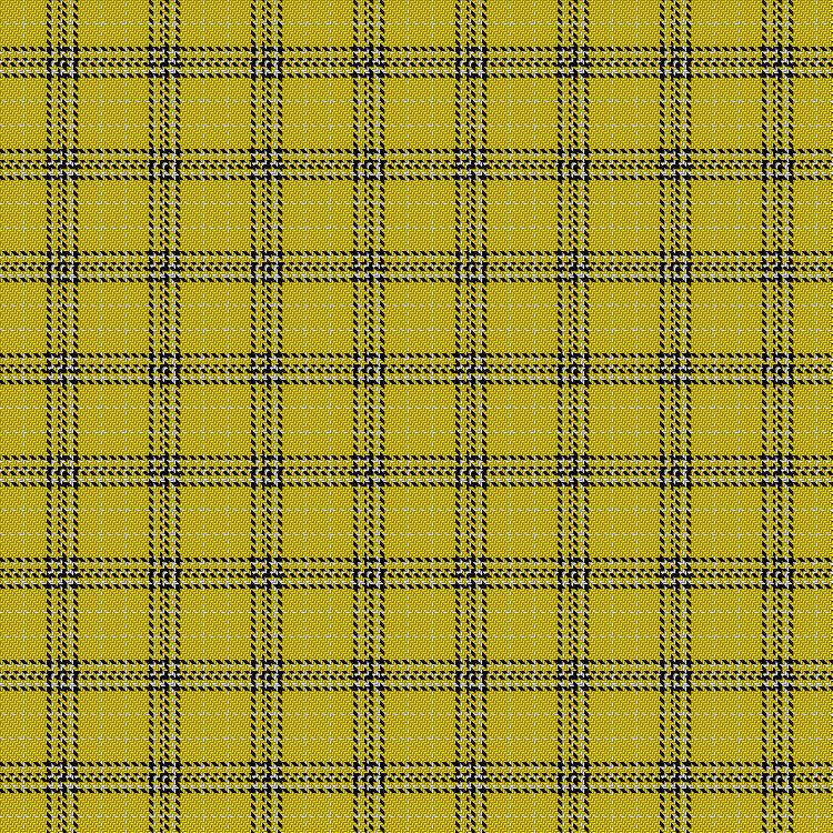 Tartan image: Guzzo Check (Personal). Click on this image to see a more detailed version.