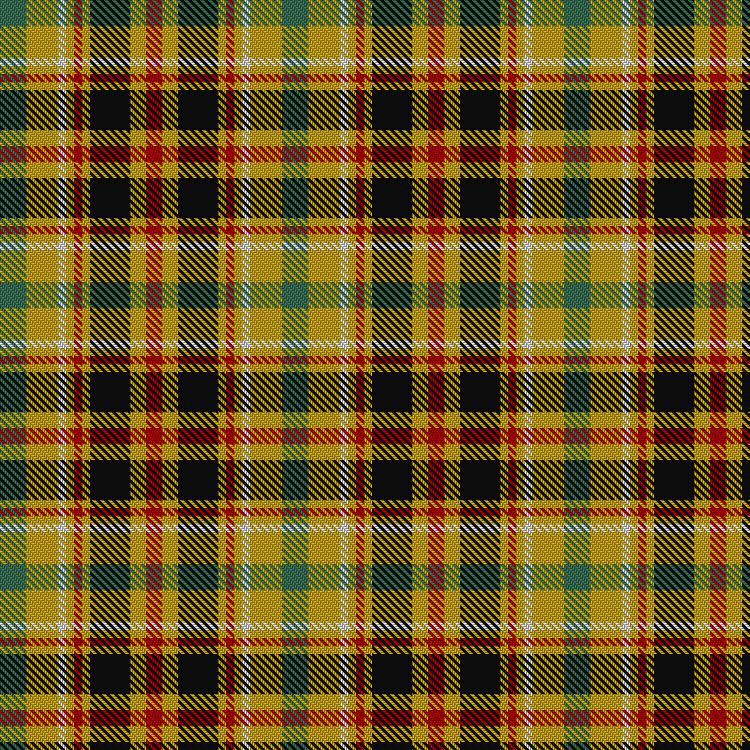 Tartan image: Cawte of Middlebanknock (Personal). Click on this image to see a more detailed version.