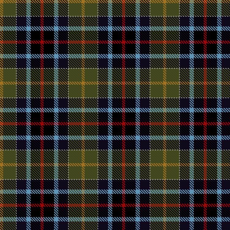 Tartan image: Gallowater, New. Click on this image to see a more detailed version.