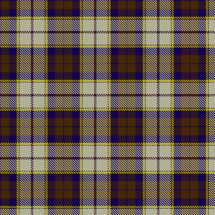 Tartan image: Unnamed C21st - Skirt. Click on this image to see a more detailed version.